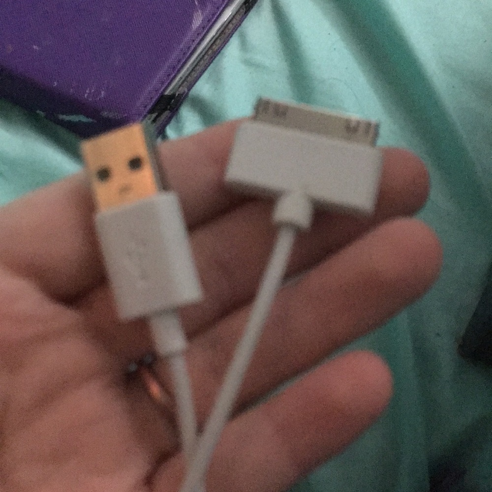 iPhone charger